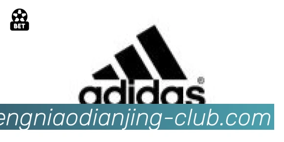 蜂鸟电竞合作伙伴